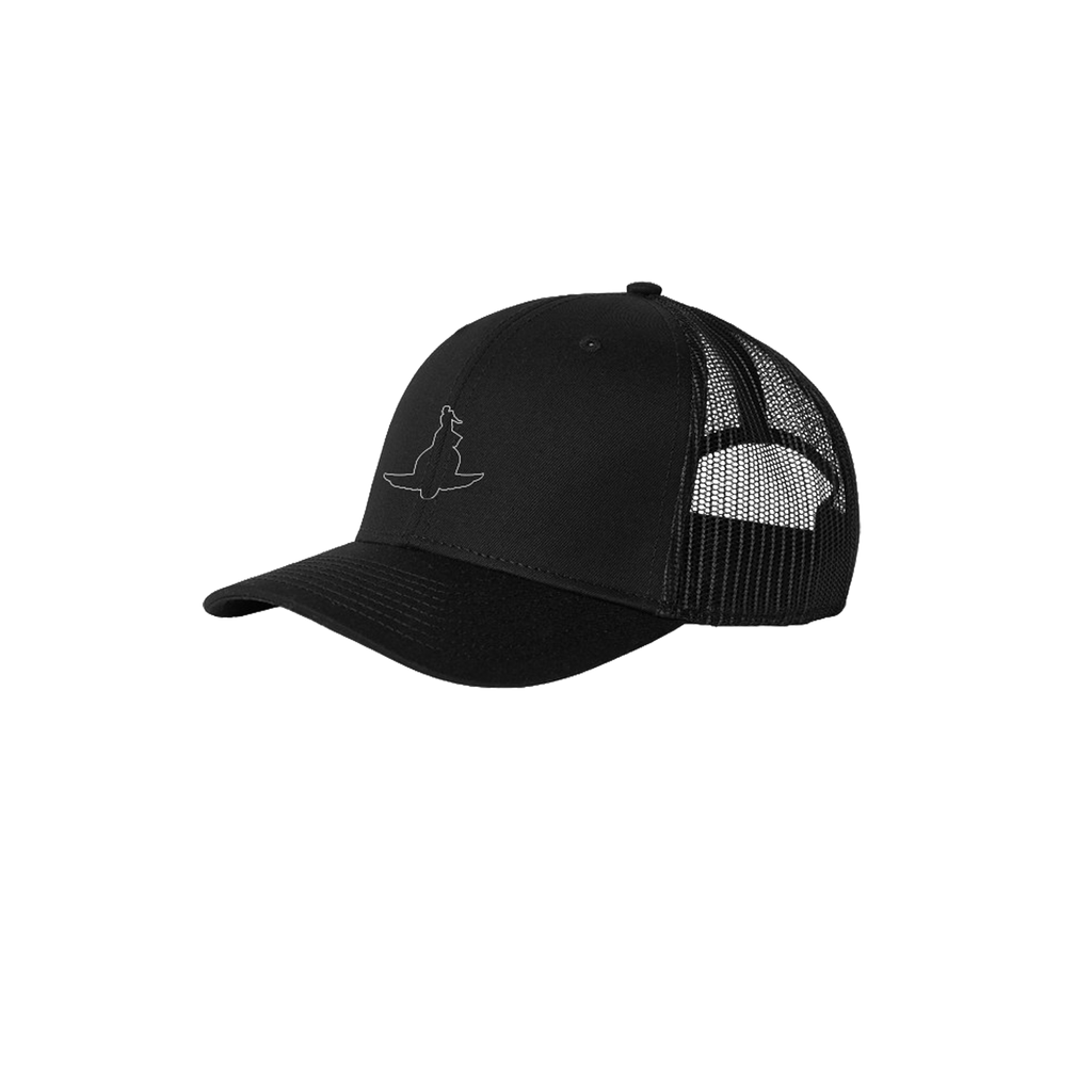 Black Snapback Hat