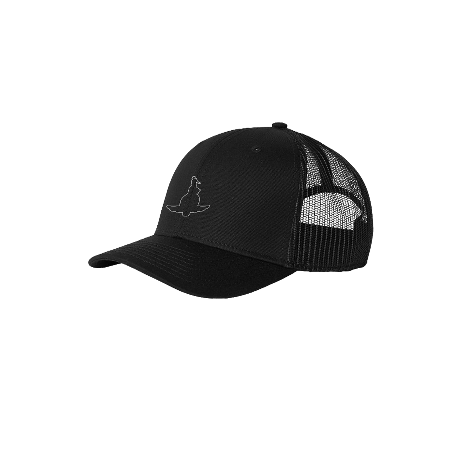 Black Snapback Hat