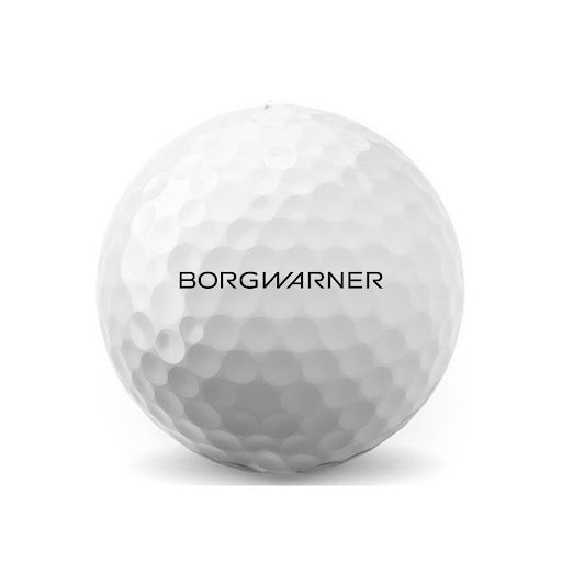 BorgWarner Titleist Pro V1 Golfballs