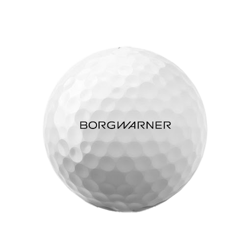BorgWarner Titleist Pro V1 Golfballs
