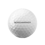 BorgWarner Titleist Pro V1 Golfballs